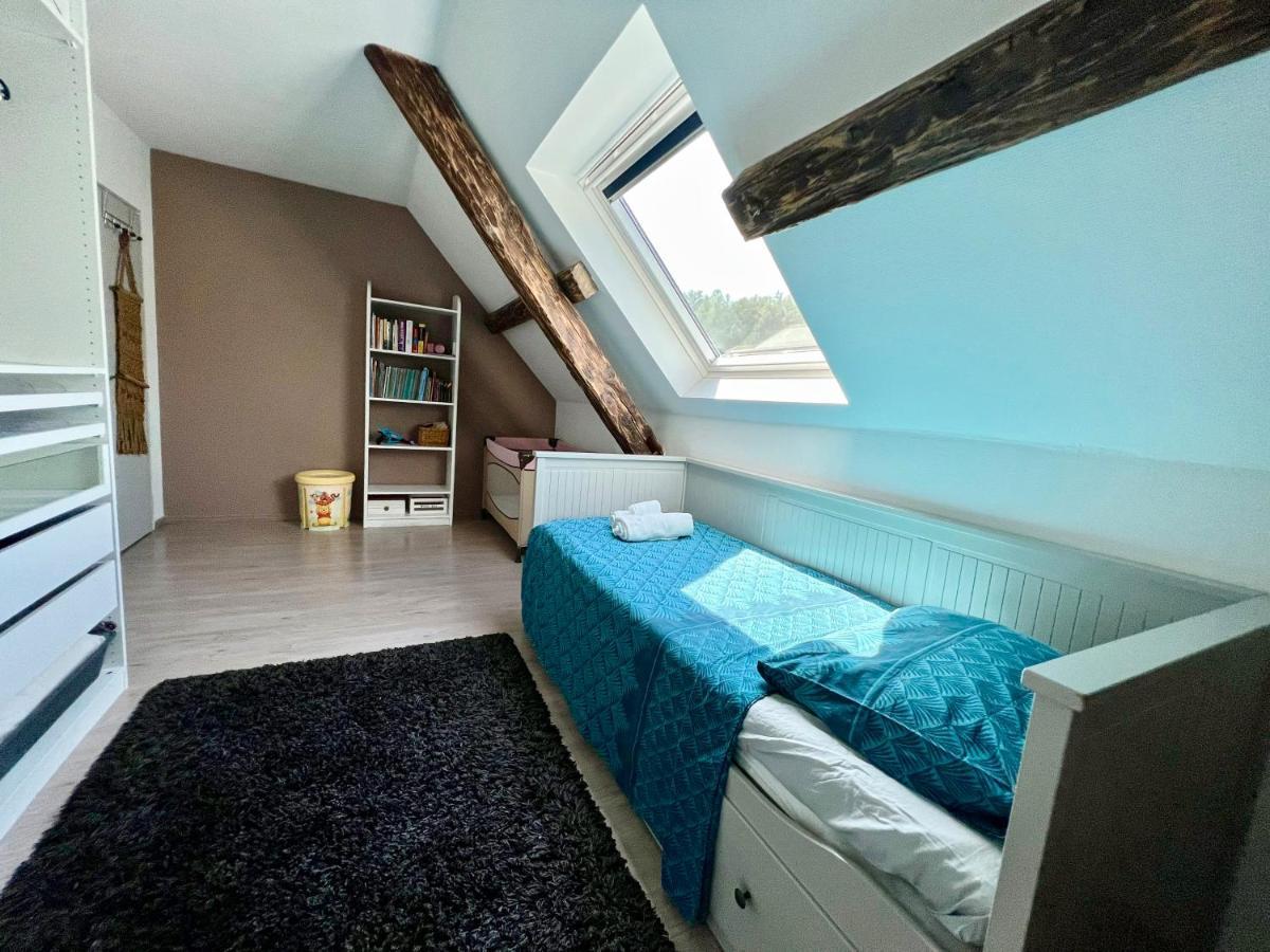 Superbe Appartement Duplex A Kaysersberg En Alsace المظهر الخارجي الصورة
